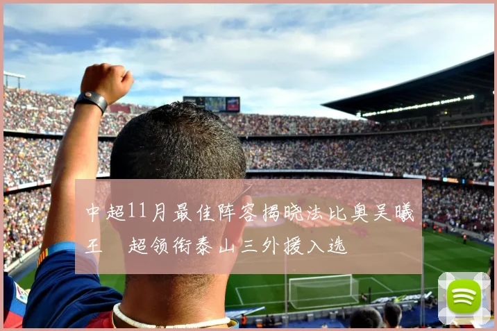 中超11月最佳阵容揭晓法比奥吴曦王燊超领衔泰山三外援入选