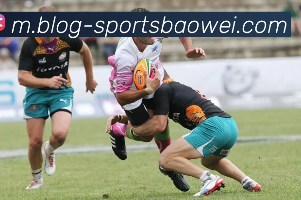 多媒体互动体验