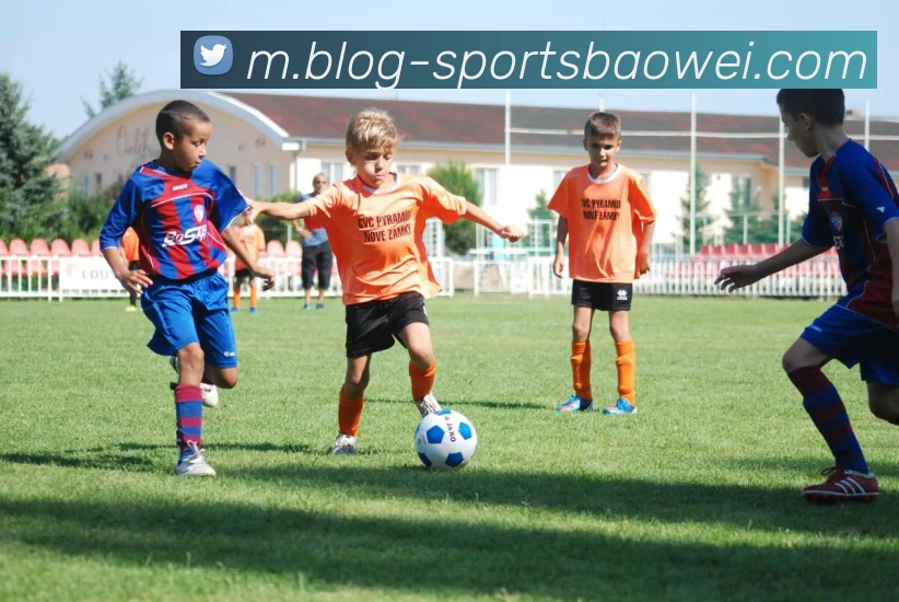 宝威体育APP 高清赛事图